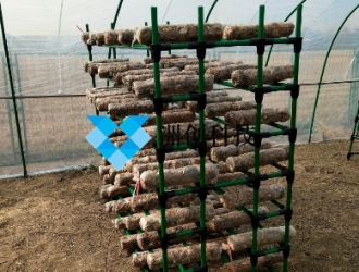 强度高、结构稳定、耐腐蚀  湖州洲创Manbetx体育手机版推荐A9版本架使用寿命可达20年以上 ()