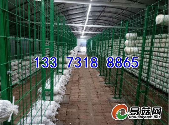 网架产品13373188865