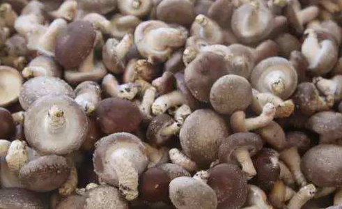 QQ截图20190314140803