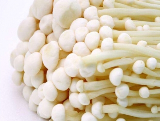 1-2月厦门出口保鲜金针菇超107吨 同比增长近一倍 ()