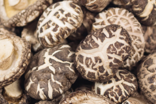 房县ManBetX体育抱团打品牌 增强市场竞争力 ()