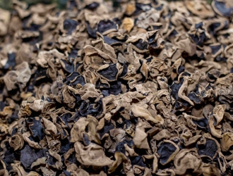 辽源市ManBetX体育产业发展迅速 ()