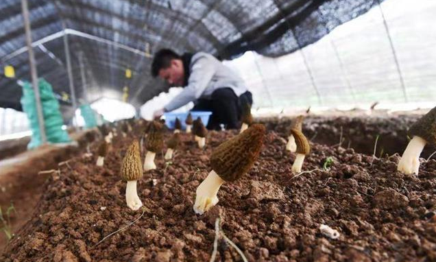 QQ截图20190319174854