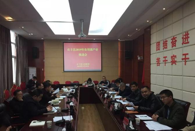 QQ截图20190320095516