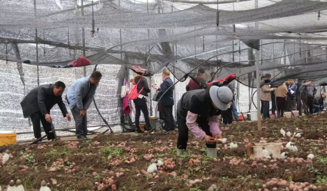 QQ截图20190320095653