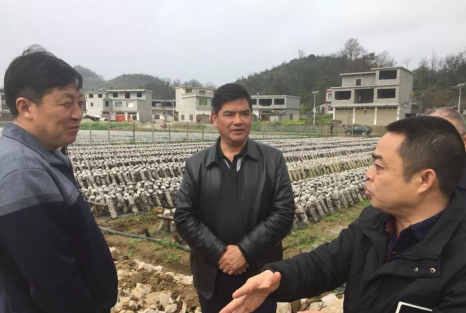 QQ截图20190320095731