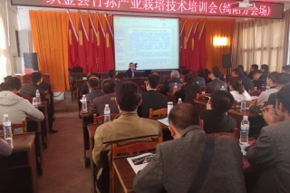 织金：开展竹荪Manbetx体育手机版V17版本发布.官网安卓网.香港培训 ()