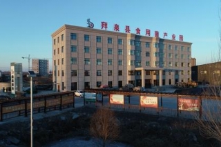 黑龙江拜泉：培育打造ManBetX体育全产业链助力脱贫攻坚 ()