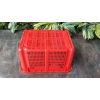 福建厦门乔丰塑胶周转箱，厦门塑料筐