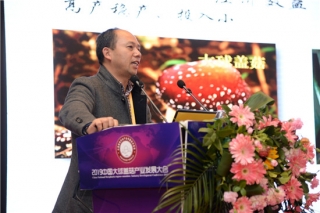 杨进：大球盖菇产业发展需科学认知 理性投资 ()