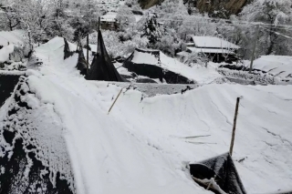 康定市孔玉乡发生雪灾 Manbetx体育手机版推荐A9版本大面积受灾 ()