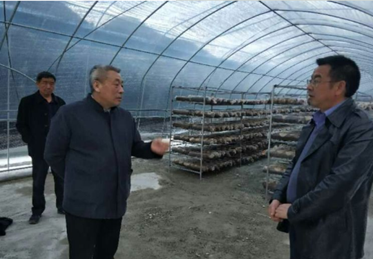 QQ截图20190326085518