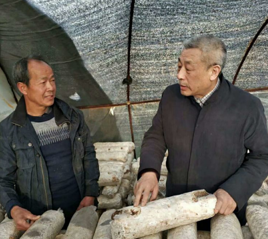 QQ截图20190326085526