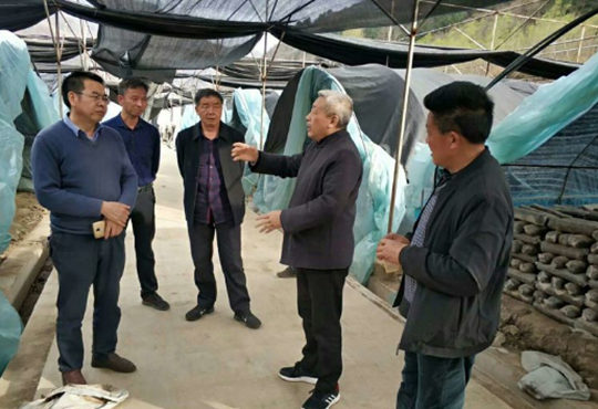 QQ截图20190326085538