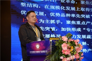 朱国胜：华东片区认识及消费大球盖菇早于西部  市场体系有待完善 ()