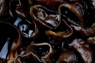 遵义：开展ManBetX体育种植气象条件分析研究 ()