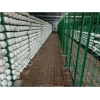出菇房网格架出菇厂家平菇出菇架蘑菇网格网片培养架