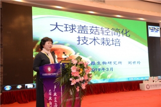 刘世玲：轻简化ManBetX体育助力大球盖菇稳产高产 ()