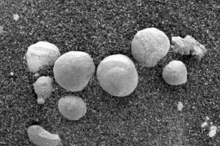 NASA在火星拍到“蘑菇”照片？科学家：或可证实火星有生命 ()