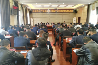 毕节市农村产业革命ManBetX体育产业发展现场推进会议在纳雍县召开 ()