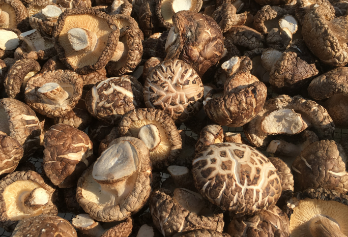 QQ截图20190328151926