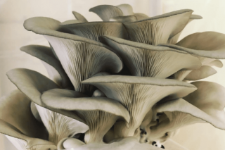 大方县“三注重”推动ManBetX体育产业发展 ()