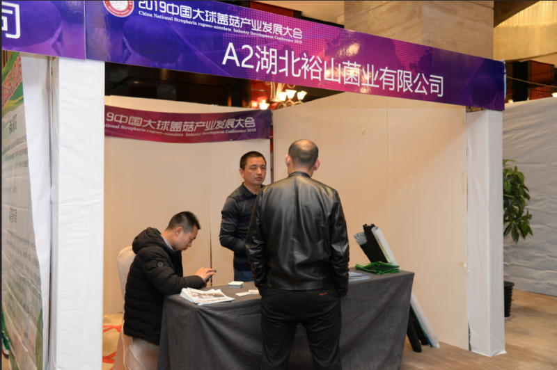 QQ截图20190328163748