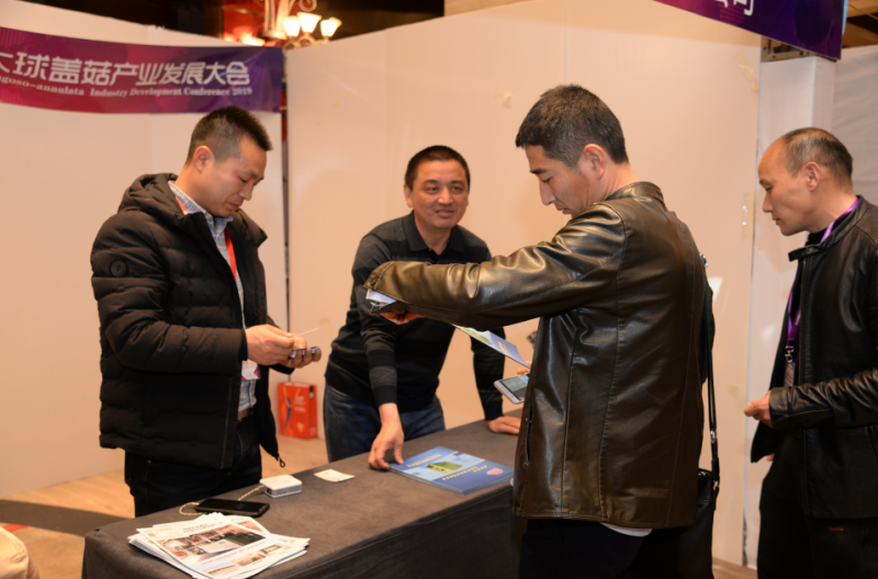 QQ截图20190328163803