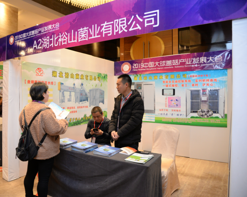 QQ截图20190328163844