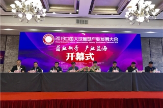 宜昌市农业局：2019中国大球盖菇产业发展大会在宜昌成功举办 ()