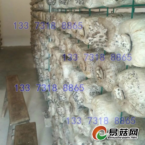 ManBetX体育架子厂家_meitu_13