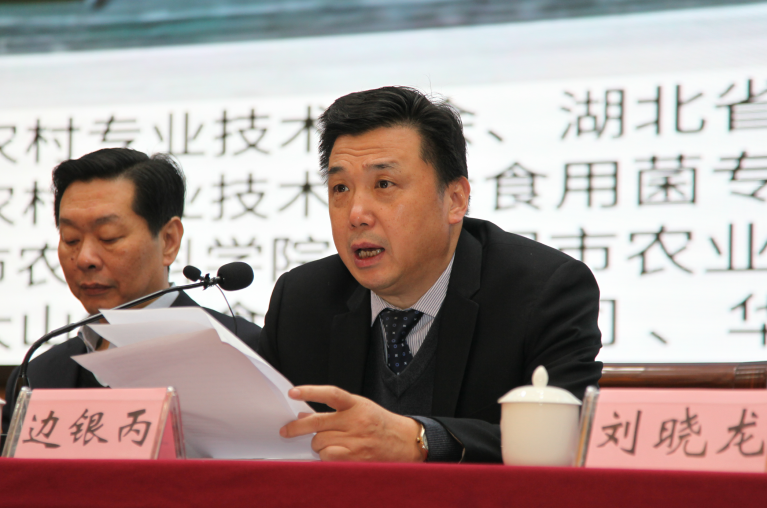 QQ截图20190401095446