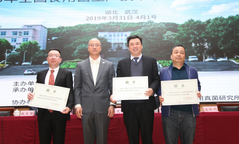 QQ截图20190401095228