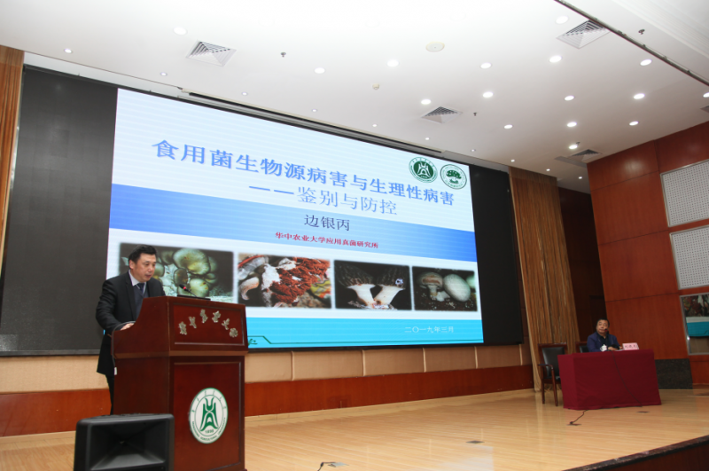 QQ截图20190401095354