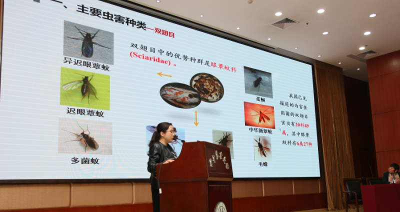 QQ截图20190401095427