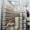 集装箱种菌菇网格架 室内蘑菇种植架 Manbetx体育手机版V17版本发布.官网安卓网.香港格架