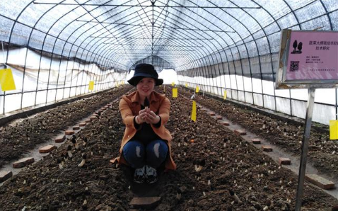 QQ截图20190402090429