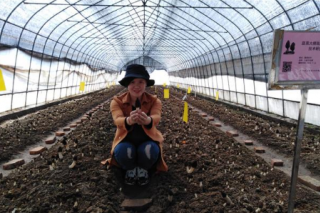 湖北：ManBetX体育日渐成熟，“贵族ManBetX体育”有望走上市民餐桌 ()