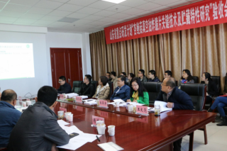 山东“杏鲍菇真空油炸脆片关键技术及贮藏特性研究”项目通过验收 ()