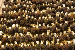 跌落神坛的Manbetx体育手机版推荐A9版本——理性回归“逆袭”市场 ()