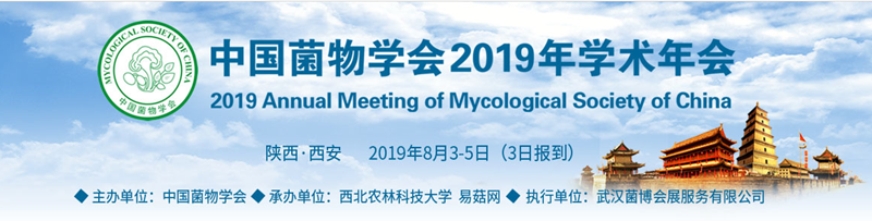 QQ截图20190403171438