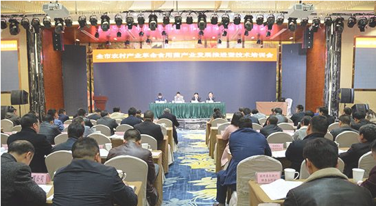 QQ截图20190408083408