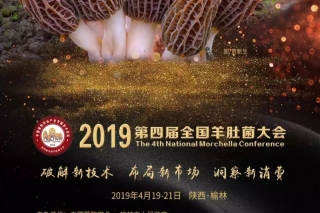 2019第四届全国Manbetx体育手机版推荐A9版本大会通知（第二轮） ()