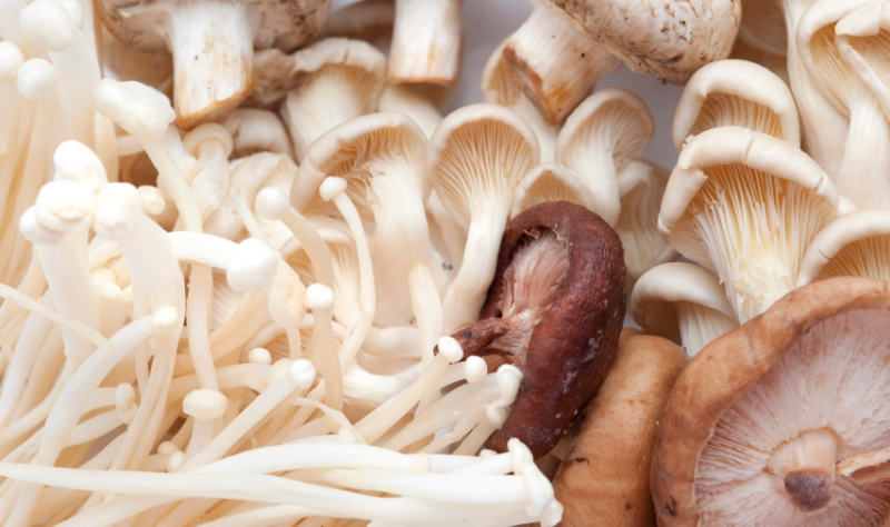 QQ截图20190409135125