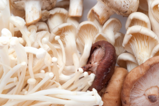 小蘑菇成富民大产业 江苏灌南Manbetx体育手机版V17版本发布.官网安卓网.香港产值突破55亿元 ()