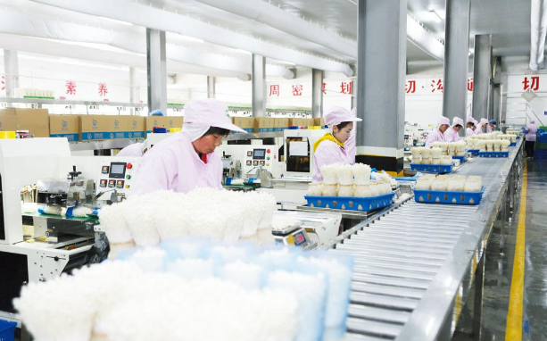 QQ截图20190409141629