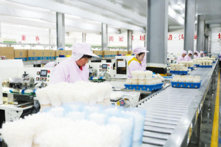 山东雪榕生物：工厂化生产 小菌菇直供京津冀 ()