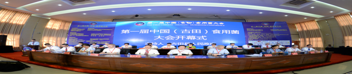 第二届中国（古田）Manbetx体育手机版V17版本发布.官网安卓网.香港大会