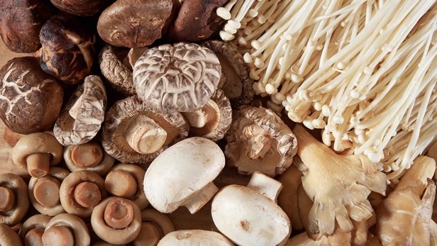 mushrooms-mild-cognitive-impairment-2.webp