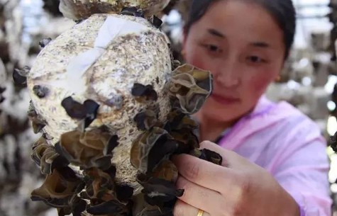 QQ截图20190410095521